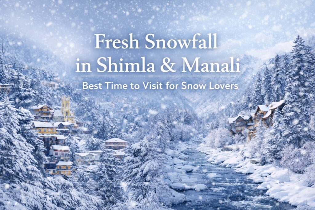 db5e0335 1d59 4225 9403 d3ab5dfbef60